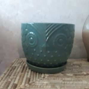 Owl flowerpots. 6 & 8 inch Listing is for both pots